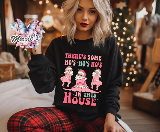 There's Some Ho's Ho's Ho's In This House Funny Santa DTF Transfer Print